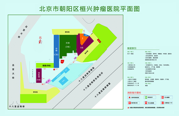 大肉棒插入视频北京市朝阳区桓兴肿瘤医院平面图